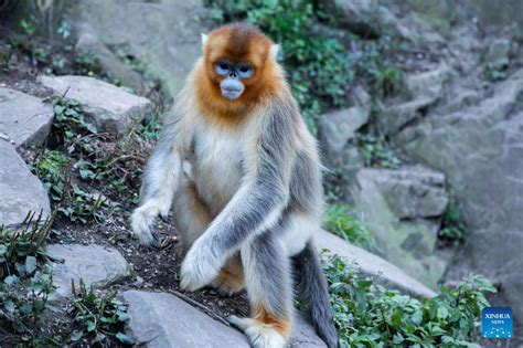 玉合公園緩步細品：自然與人文的交融之處